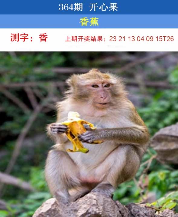 364期开心果[图]