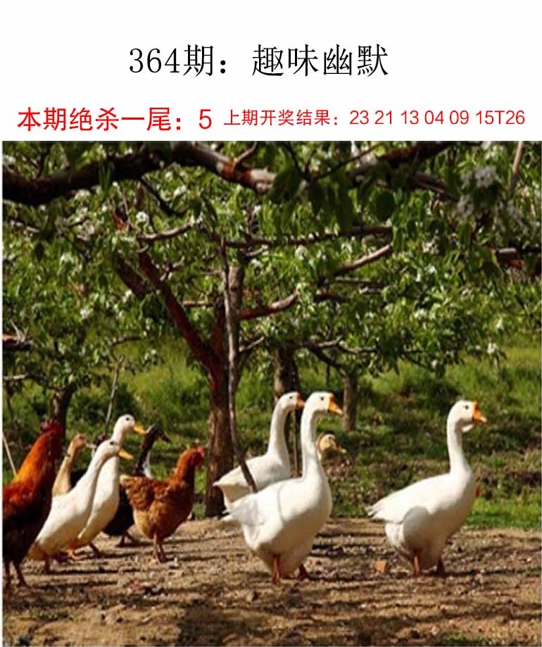 364期趣味幽默[图]