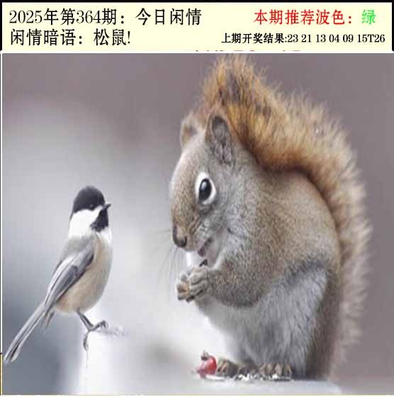 364期今日闲情2[图]
