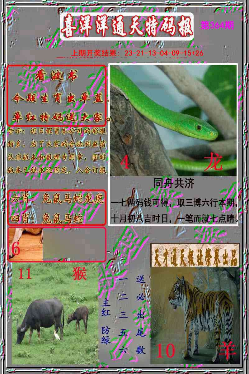 364期洋通报[图]