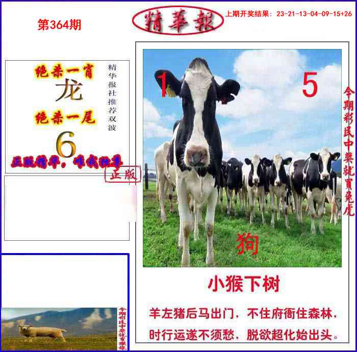 364期新精华报报[图]