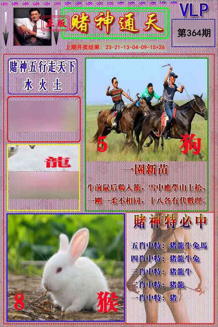 364期赌神通天报[图]