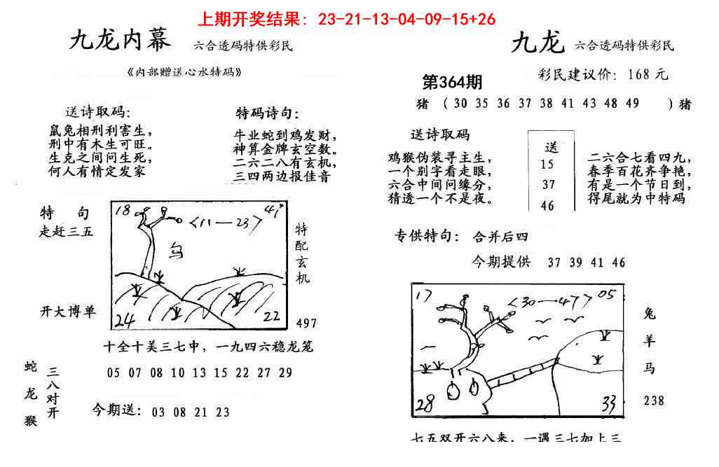 364期九龙内幕[图]