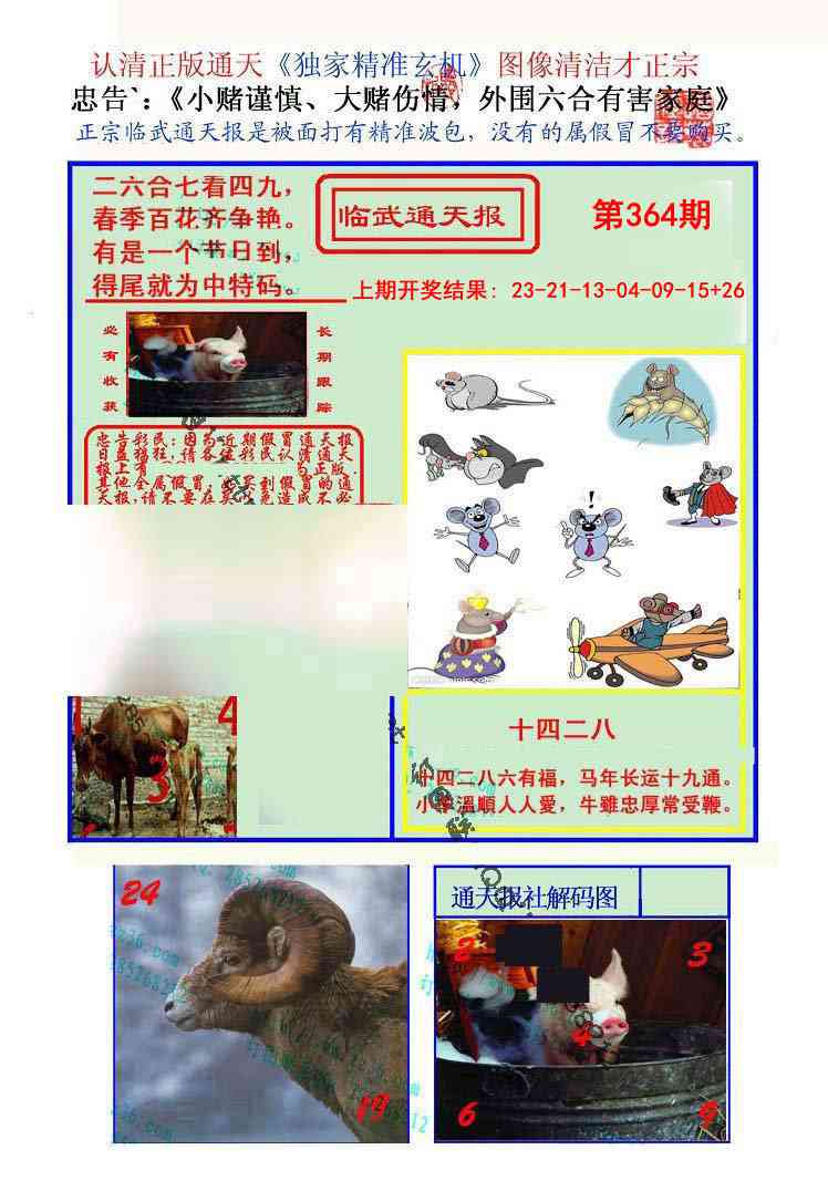 364期临武通天报[图]