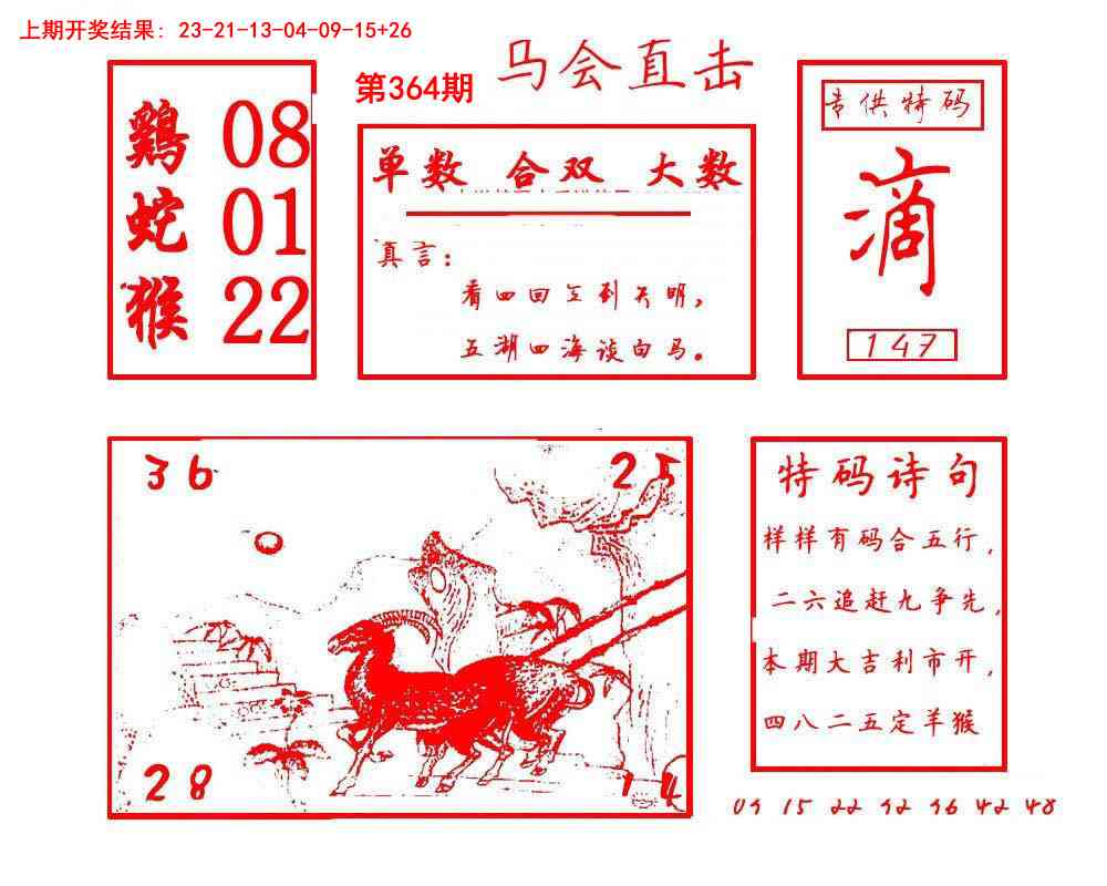 364期马会直击[图]