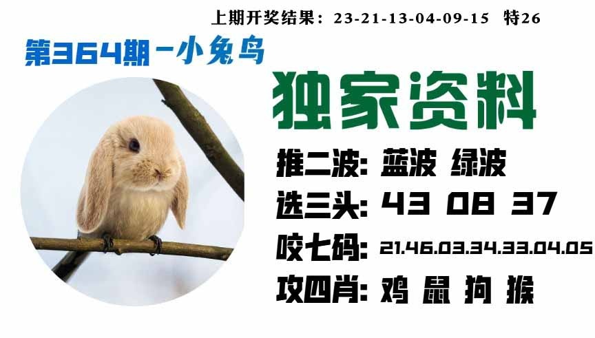 364期小兔鸟[图]